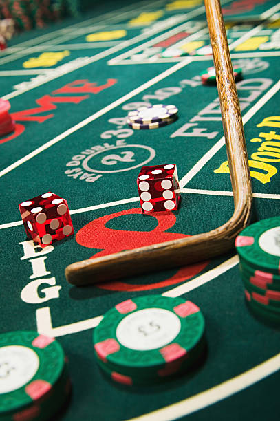 momo platform dashboard showing sportsbook, live dealer, and slots integration